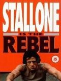 Rebel