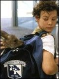 Joey