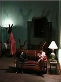 Rabbits