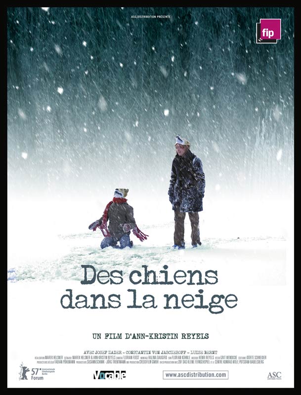Des chiens dans la neige