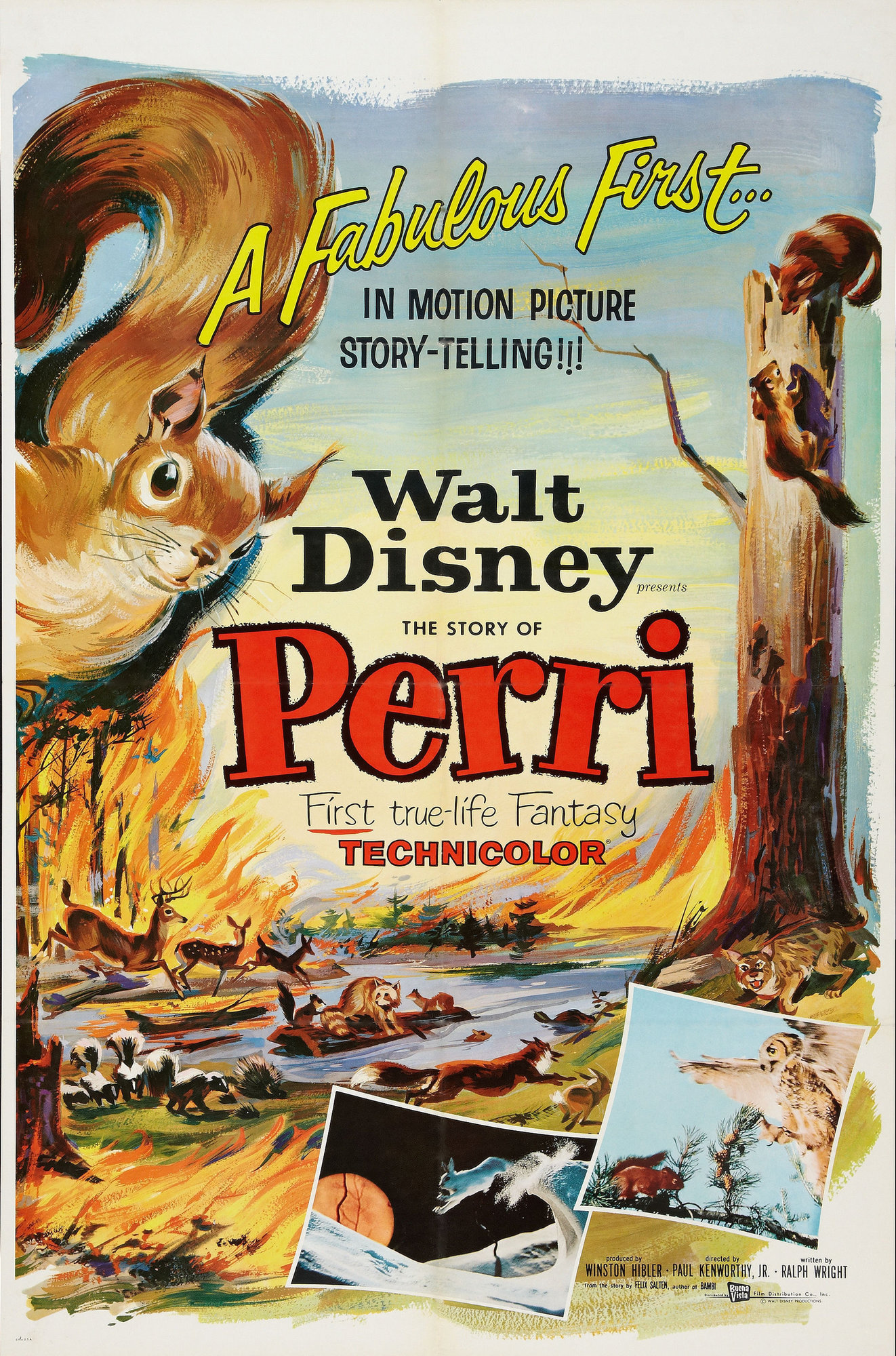 Perri