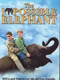 Un éléphant à la maison