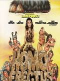 Homo Erectus