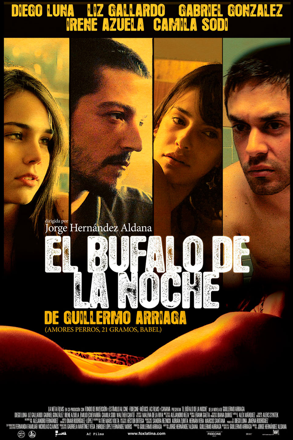 El Búfalo de la noche