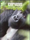 Saving a Species : Gorillas on the Brink
