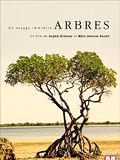 Arbres, un voyage immobile