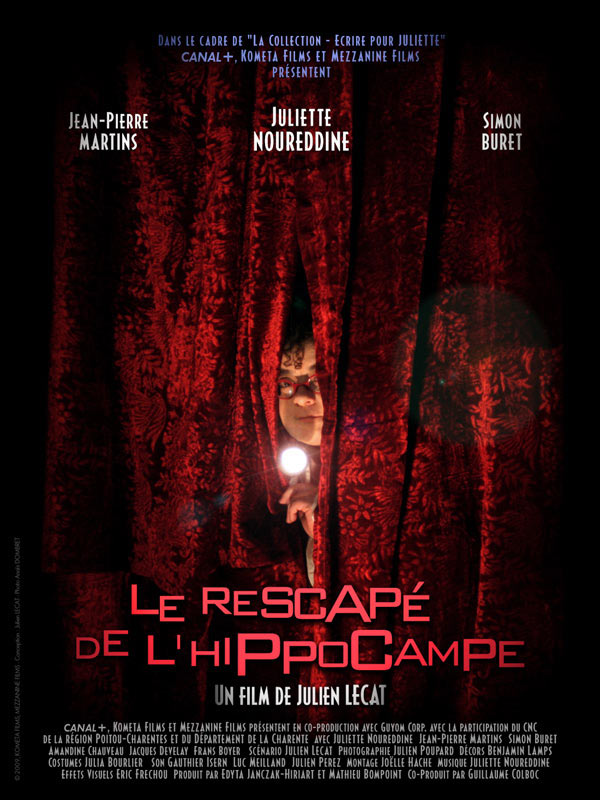 Le Rescapé de l'Hippocampe