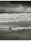 La mer calme