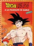 Dragon Ball Z : À la poursuite de Garlic