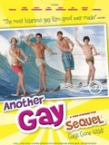 Another Gay Sequel: Gays Gone Wild!