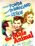 The Male Animal