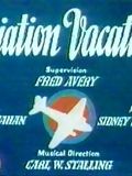 Aviation Vacation