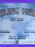 Ceiling Hero