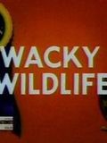Wacky Wildlife