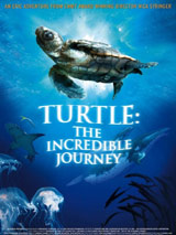 Turtle: The Incredible Journey
