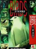 Birds of the World: The Master Builders