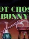 Hot Cross Bunny