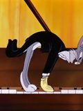Rhapsody Rabbit