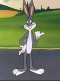 Rabbit Transit