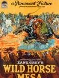 Wild Horse Mesa