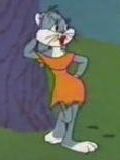 Backwoods Bunny