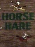 Horse Hare