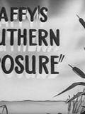 Daffy's Southern Exposure