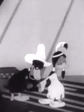 The Daffy Duckaroo