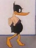 The Wise Quacking Duck
