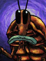 Cuccarazza