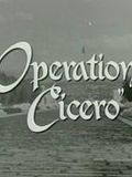 Operation Cicero