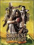 Siamese Outlaws