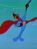 Stupor Duck