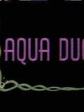 Aqua Duck