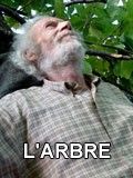 L'Arbre