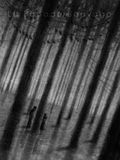 La ballade sauvage (Shifting Waters)