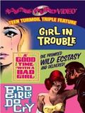 A Good Time with a Bad Girl