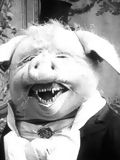 Le cochon danseur