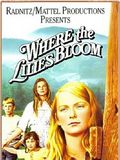 Where the Lilies Bloom