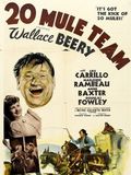 20 Mule Team