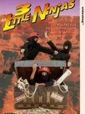 3 Little Ninjas and the Lost Treasure