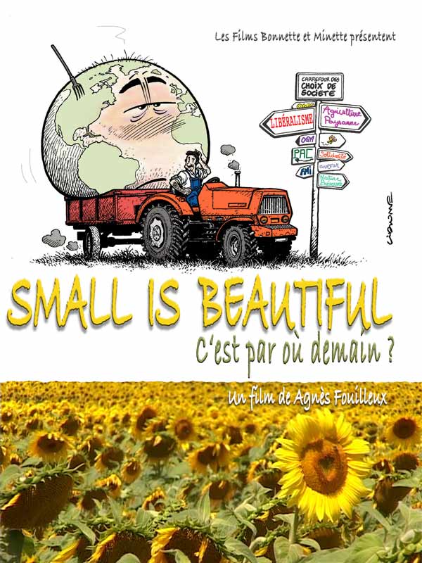 Small Is Beautiful