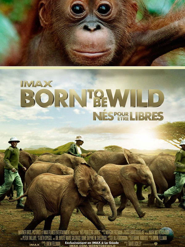 Born to Be Wild