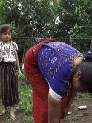 Extraño rumor de la tierra cuando se atraviesa un surco