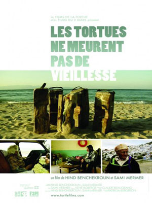 Les tortues ne meurent pas de vieillesse