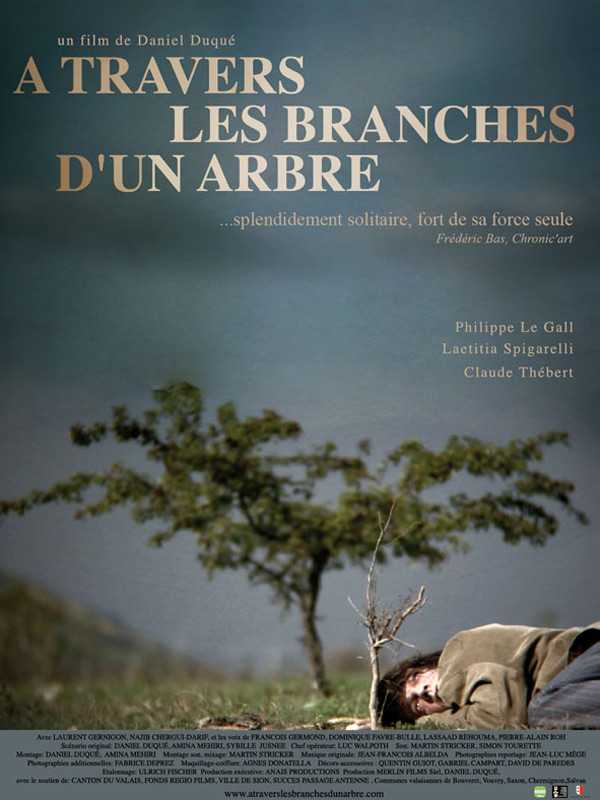 A travers les branches d'un arbre
