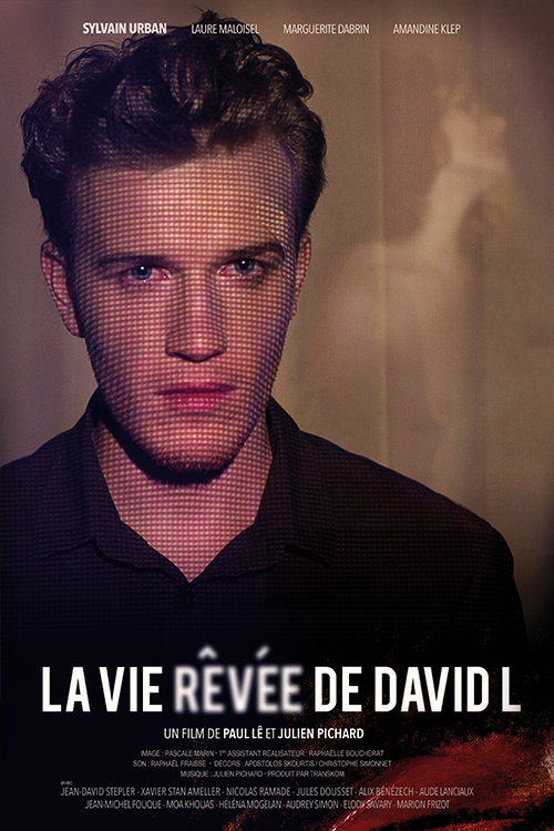 La Vie rêvée de David L.