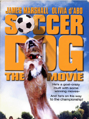 Soccer Dog stream