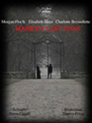 Marilyn Last Days