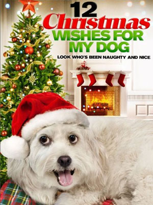 Les Douze vœux de Noël (TV)